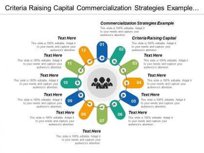 Criteria raising capital commercialization strategies example trade promotions cpb