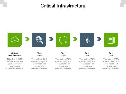 Critical infrastructure ppt powerpoint presentation show graphics tutorials cpb