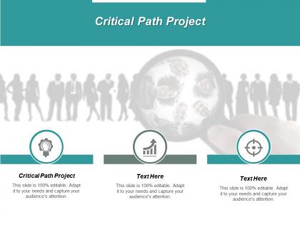 Critical path project ppt powerpoint presentation professional graphics design cpb