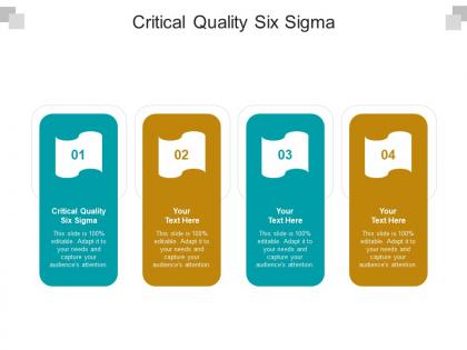 Critical quality six sigma ppt powerpoint presentation styles slideshow cpb