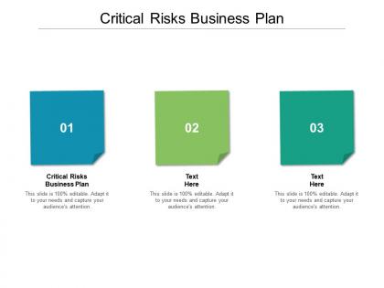 Critical risks business plan ppt powerpoint presentation infographics structure cpb