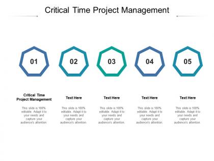 Critical time project management ppt powerpoint presentation show cpb