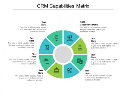 Crm capabilities matrix ppt powerpoint presentation infographic template tips cpb
