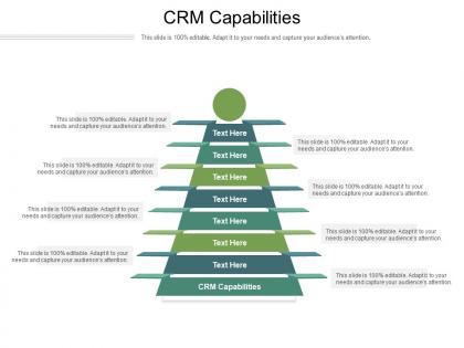 Crm capabilities ppt powerpoint presentation infographic template layouts cpb