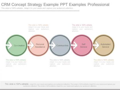 Crm concept strategy example ppt examples professional