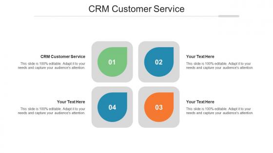 Crm Customer Service Ppt Powerpoint Presentation File Template Cpb