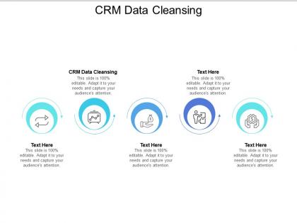 Crm data cleansing ppt powerpoint presentation file grid cpb