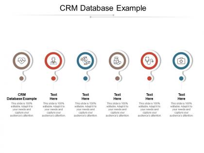 Crm database example ppt powerpoint presentation slides summary cpb