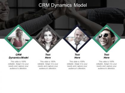Crm dynamics model ppt powerpoint presentation infographics elements cpb