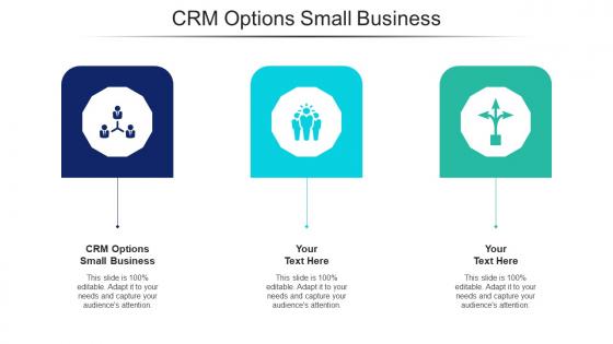 Crm Options Small Business Ppt Powerpoint Presentation Icon Styles Cpb