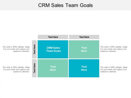 Crm sales team goals ppt powerpoint presentation file example introduction cpb