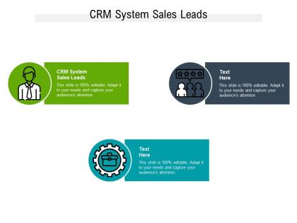 Crm system sales leads ppt powerpoint presentation icon outline cpb
