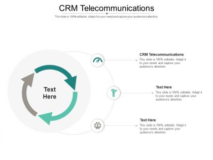 Crm telecommunications ppt powerpoint presentation ideas rules cpb
