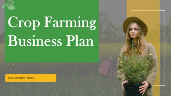Crop Farming Business Plan Powerpoint Presentation Slides