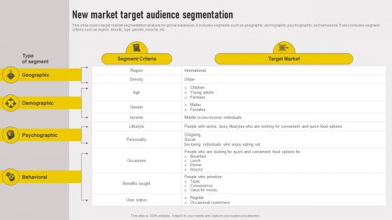 Cross Border Approach New Market Target Audience Segmentation Strategy SS V