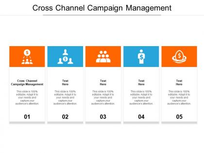 Cross channel campaign management ppt powerpoint presentation portfolio background designs cpb