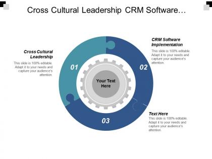 Cross cultural leadership crm software implementation employee performance survey cpb