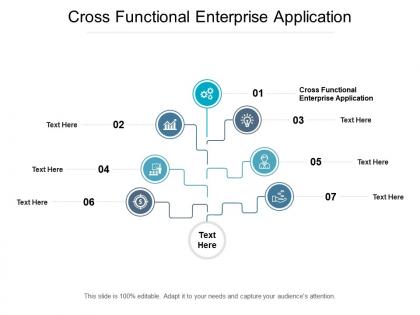 Cross functional enterprise application ppt powerpoint presentation outline file formats cpb