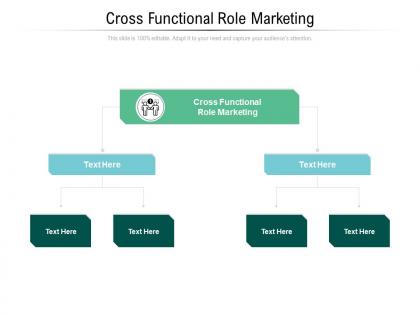 Cross functional role marketing ppt powerpoint presentation model elements cpb