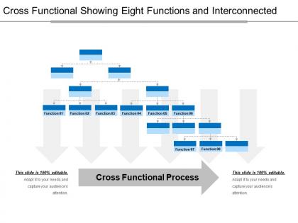Cross Functional Process - Slide Team