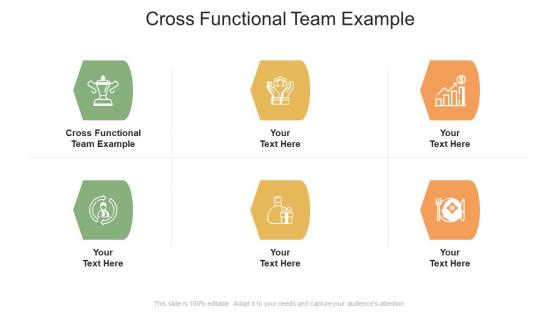 Cross Functional Team Example Ppt Powerpoint Presentation Summary Master Slide Cpb