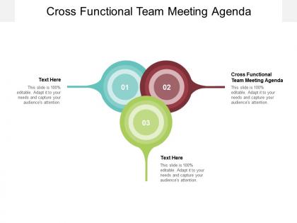 Cross functional team meeting agenda ppt powerpoint presentation layouts graphic images cpb