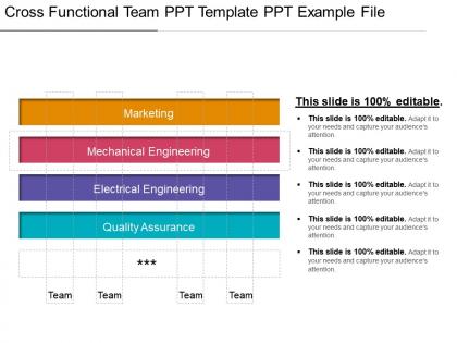 Cross functional team ppt template ppt example file