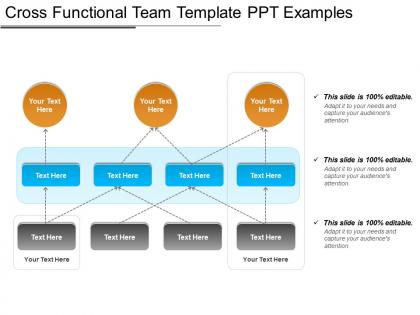 Cross functional team template ppt examples