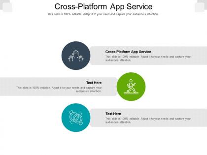 Cross platform app service ppt powerpoint presentation pictures rules cpb