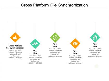 Cross platform file synchronization ppt powerpoint presentation outline infographic template cpb