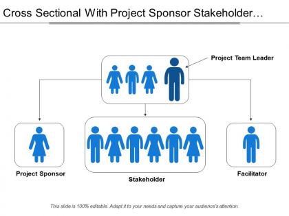 Cross sectional with project sponsor stakeholder facilitator
