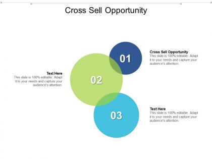 Cross sell opportunity ppt powerpoint presentation file icons cpb