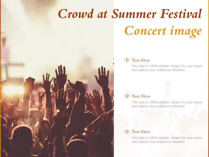 Crowd at summer festival concert image