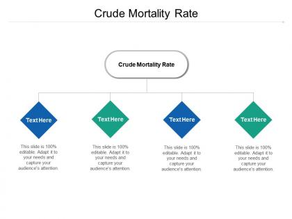 Crude mortality rate ppt powerpoint presentation ideas professional cpb
