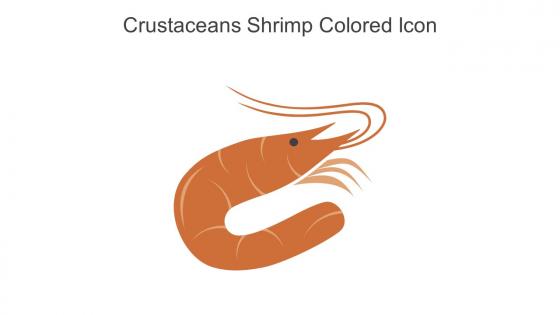 Crustaceans Shrimp Colored Icon In Powerpoint Pptx Png And Editable Eps Format