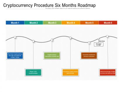 Cryptocurrency procedure six months roadmap