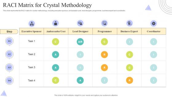 Crystal Methods RACI Matrix For Crystal Methodology Ppt Powerpoint Presentation File Visual Aids