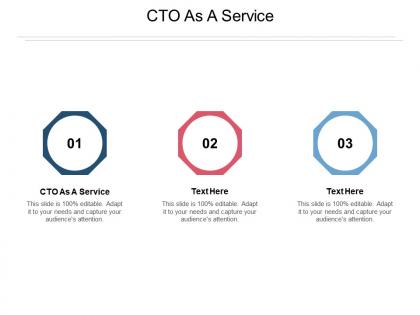 Cto as a service ppt powerpoint presentation slides layout ideas cpb
