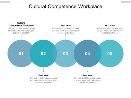 Cultural competence workplace ppt powerpoint presentation icon vector cpb