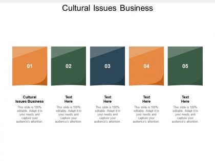 Cultural issues business ppt powerpoint presentation professional slide portrait cpb