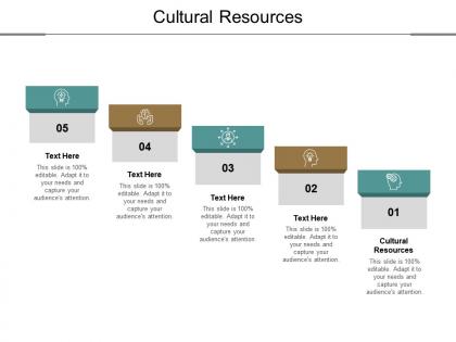 Cultural resources ppt powerpoint presentation icon templates cpb