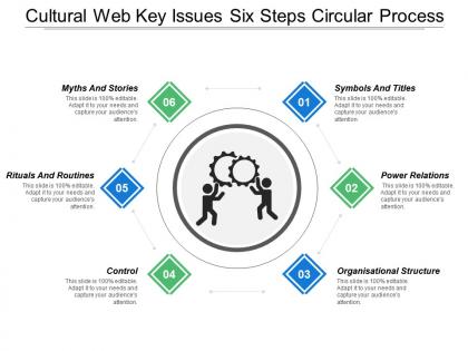 Cultural web key issues six steps circular process
