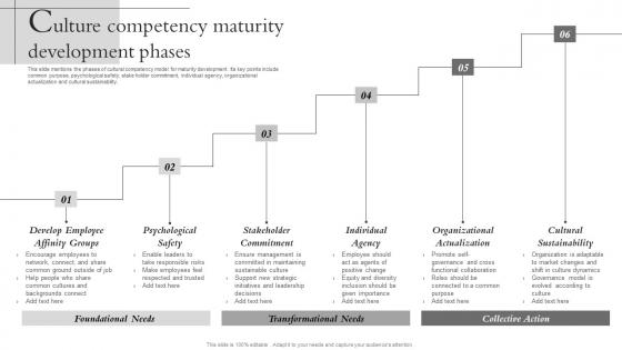 Culture Competency Maturity Development Phases