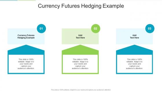 Currency Futures Hedging Example In Powerpoint And Google Slides Cpb