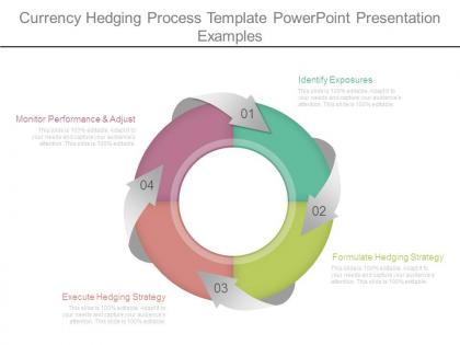 Currency hedging process template powerpoint presentation examples