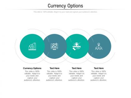 Currency options ppt powerpoint presentation styles rules cpb