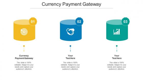 Currency Payment Gateway Ppt Powerpoint Presentation Icon Examples Cpb