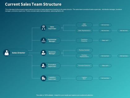 Current sales team structure ppt powerpoint presentation styles inspiration