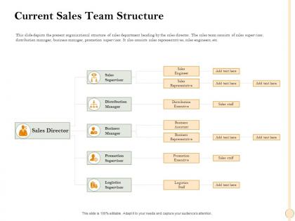 Current sales team structure representative ppt powerpoint presentation file rules