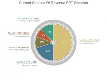 Current sources of revenue ppt samples